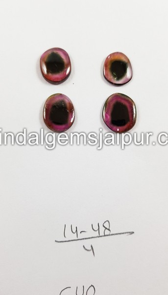 Watermelon Tourmaline Smooth Slices